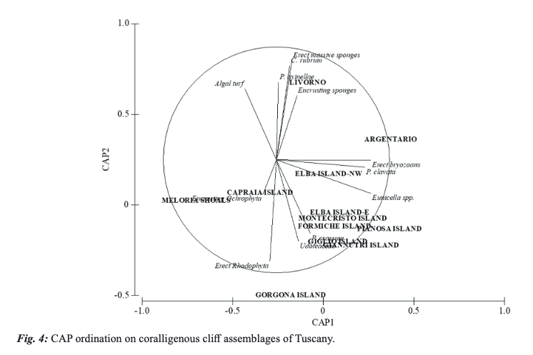 MeditMarSci's tweet photo. PIAZZI, L., et. al (2023). Coralligenous cliffs: distribution and extent along the Tuscany coasts and spatial variability of the associated assemblages. https://t.co/i3DL9OlARa
@VGerovasileiou
#biodiversity #coralligenousreefs #mapping #MediterraneanSea #spatialvariability https://t.co/PKVaeTqJi0