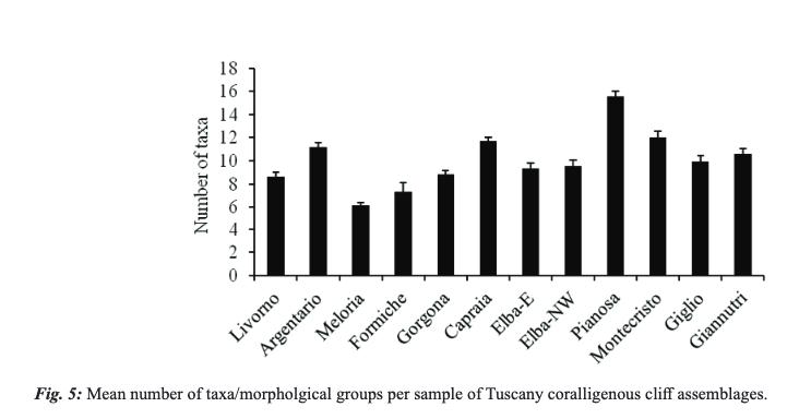 MeditMarSci's tweet photo. PIAZZI, L., et. al (2023). Coralligenous cliffs: distribution and extent along the Tuscany coasts and spatial variability of the associated assemblages. https://t.co/i3DL9OlARa
@VGerovasileiou
#biodiversity #coralligenousreefs #mapping #MediterraneanSea #spatialvariability https://t.co/PKVaeTqJi0