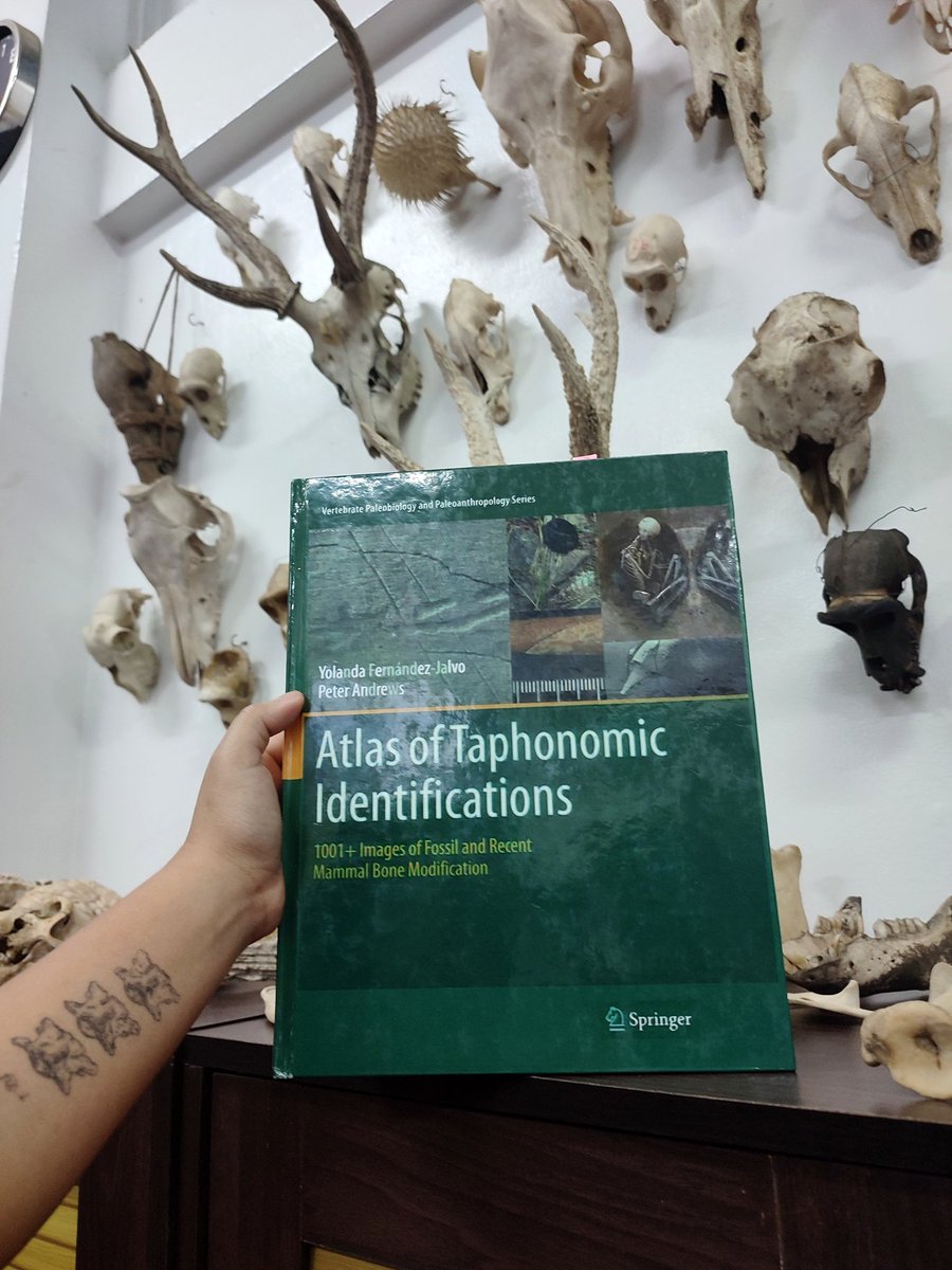 The Essentials of a Zooarchaeologist: Our favorite reference for taphonomic modifications, the Atlas of Taphonomic Identifications (2016) by Yolanda Fernández-Jalvo &amp; Peter Andrews.

You can check it out at our UP School of Archaeology Library!