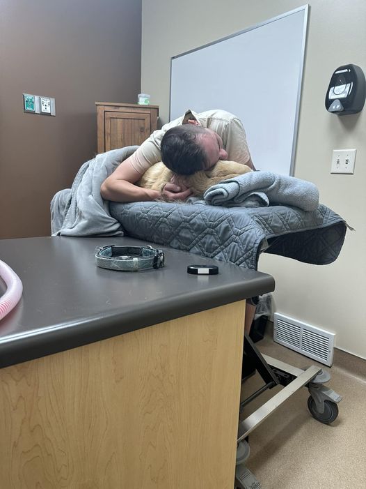 The Dalbo Dog tweet media