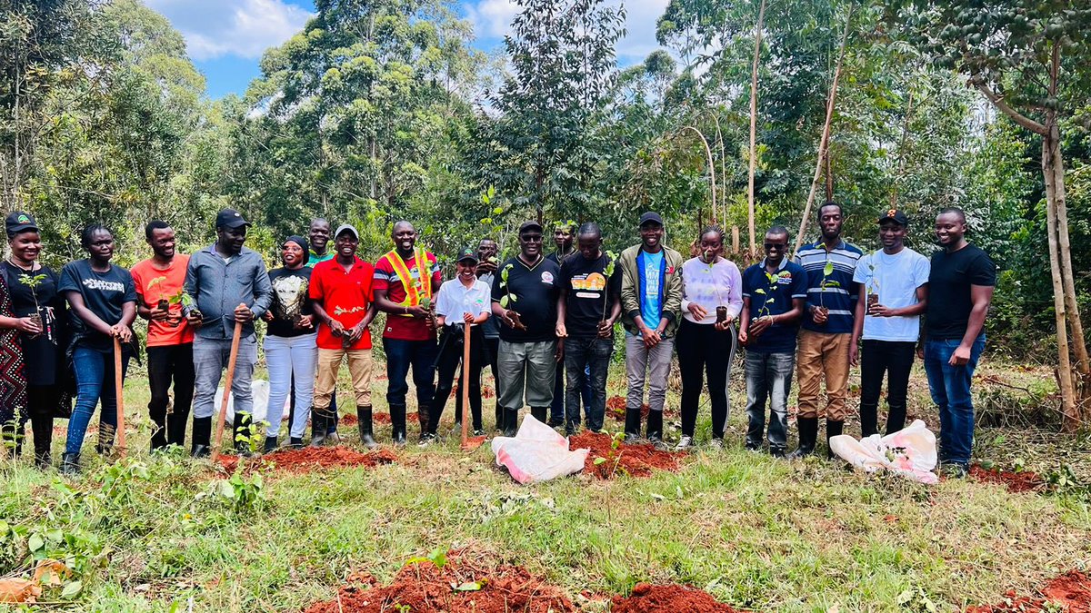 HomeToLife1's tweet image. What if all the 8b people planted one tree each today. What would it be like in 50 yrs to come? 
#biodiversity #ClimateAction #ClimateClock #ClimateCrisis #britisharmyexposed #PaulineNjoroge #xvideosِ