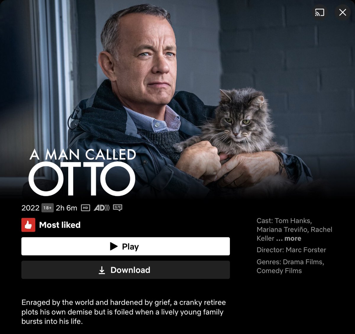 chiyoarwen's tweet photo. Even though I have read the book and have known its ending, yet I still squeezed my eyeballs out. πππ
Indeed, any movie with cat(s) in it is definitely worth to watch! π»π»π»
This movie has slight discrepancies than the original book version.
#AManCalledOtto
#MondayUnwind https://t.co/GlNCOB342z