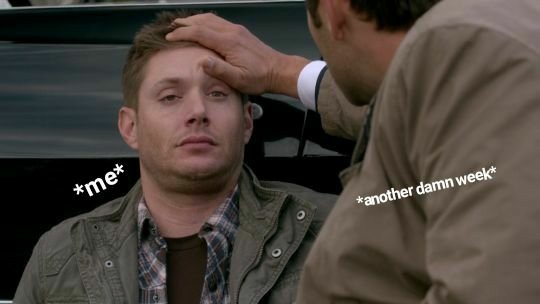 soldierbeaus's tweet photo. 🧵:: Small thread of Dean being a mood because we must survive yet another week on this God forsaken planet... https://t.co/y5Y5iq11Cd