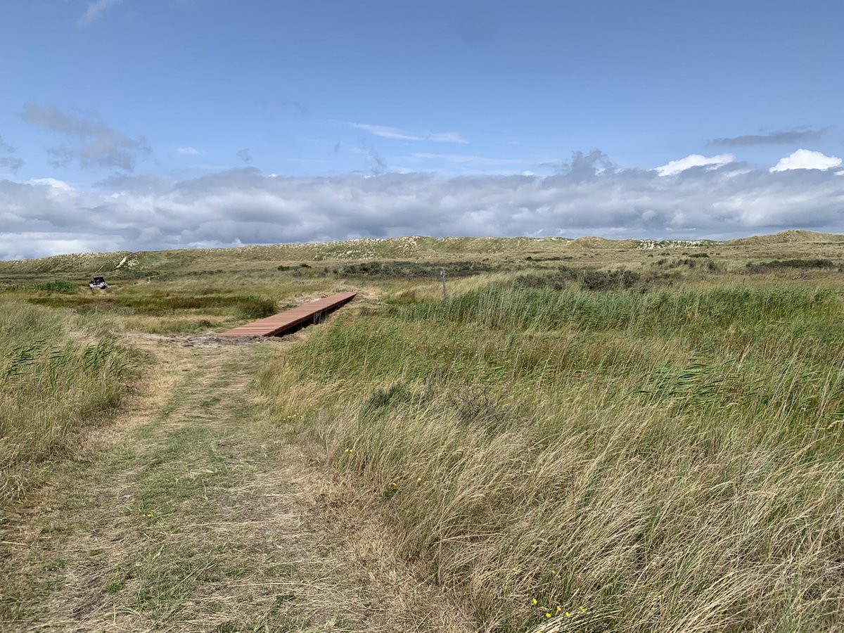 meintebonthuis's tweet photo. De bruggetjes op ‘t Oerd bijna klaar… https://t.co/pZ3jvqDoww