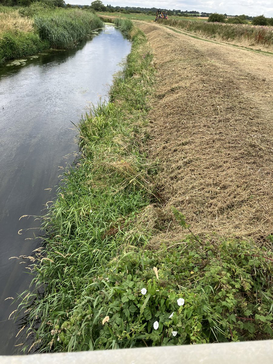 #ActiveMonitored the #LittleStour mowing programme, checking that a large vegetated margin has been left for habitat, especially #WaterVoles for food and protection… nice job #TeamEA thank you ⁦@EnvAgencySE⁩ ⁦@ADA_updates⁩ ⁦@riversideros⁩