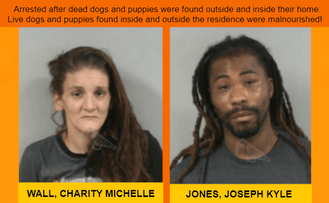VoiceForUs_'s tweet photo. - North Carolina, USA -
CHARITY MICHELLE WALL and JOSEPH KYLE JONES facing nine felony counts of animal cruelty
https://t.co/I1Twm0yXY3

#VoiceForUs #animalcruelty #crueldadanimal #animalslivesmatter #law #seagrove #northcarolina #randolphcounty #dogs #puppies #prosecutors https://t.co/HHHIPGU1wd