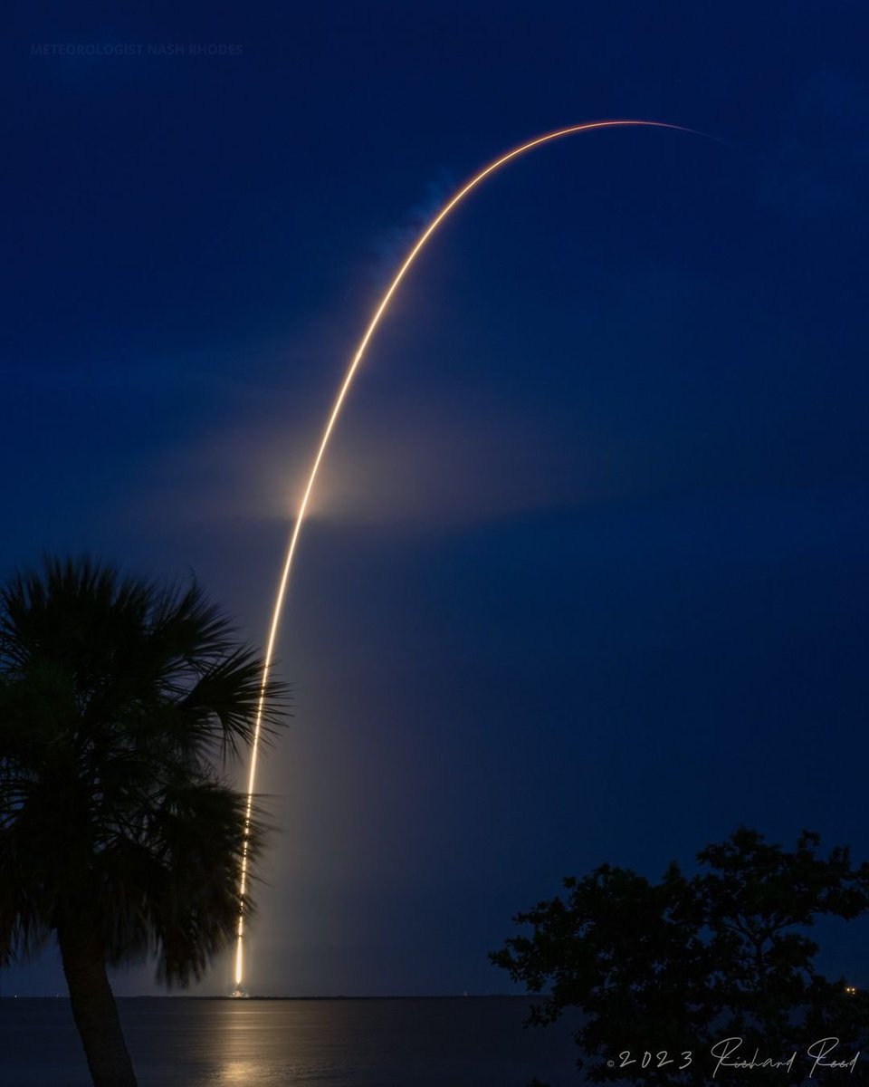 Nash Rhodes tweet media