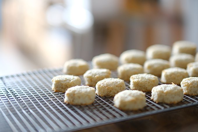 Hello world, and happy Monday!  Time for a new #recipe on #Patreon with some chocolate-covered macaroons<a href="/tag/recipe"class="tags"><span>#recipe</span></a><a href="/tag/patreon"class="tags"><span>#patreon</span></a>