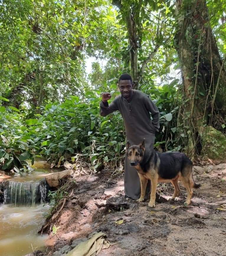 Dear Dido, you were such a lovely dog! Our family was honoured to have your unconditional love and loyalty for a whole 13years. We've lost a true friend and family member. You leave with us golden memories.