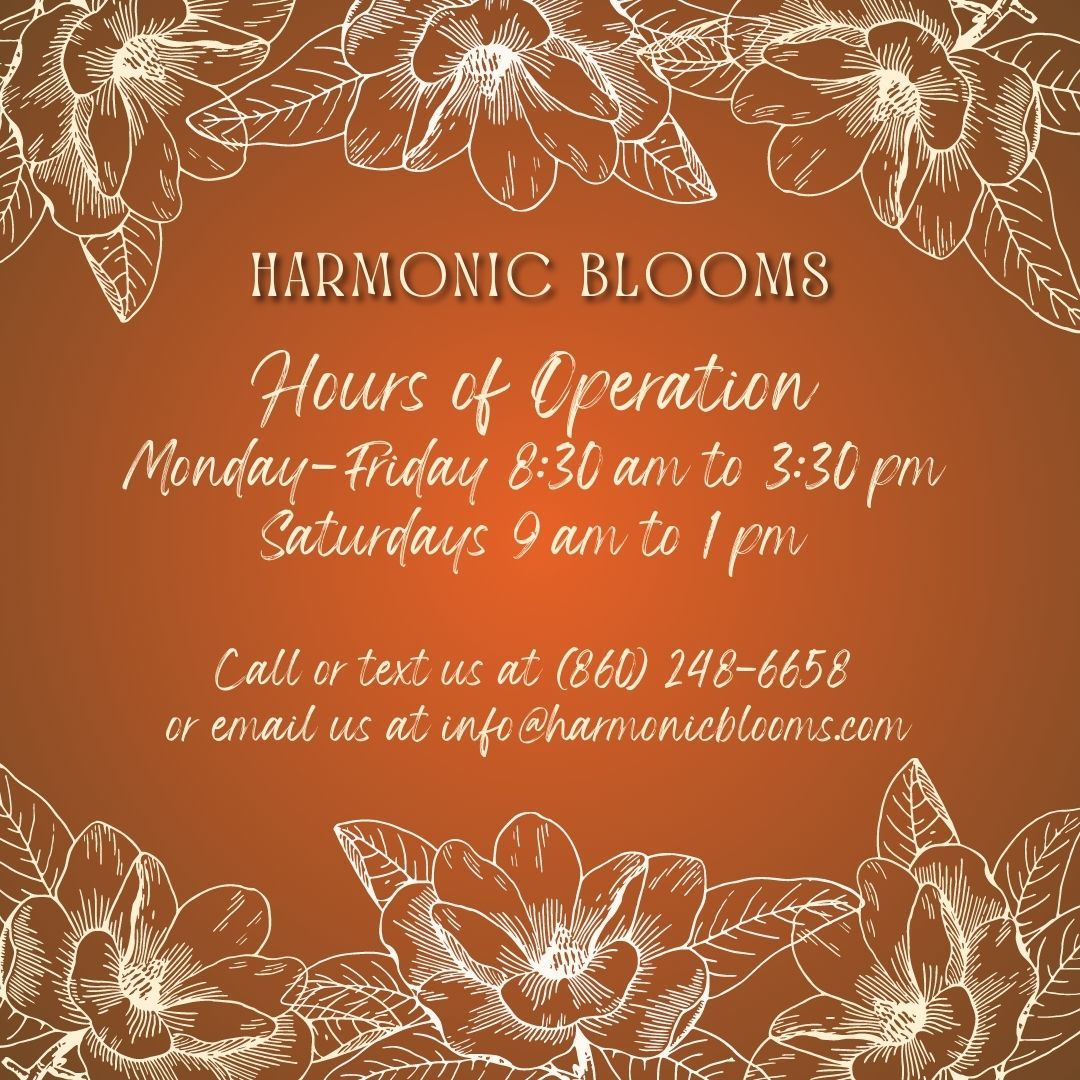 HarmonicBlooms tweet picture