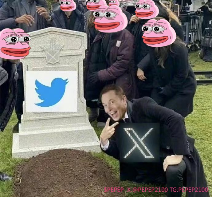 $PEPEP PEPE POP GAME tweet media