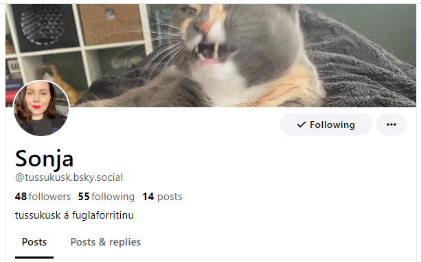 Inga Auðbjörg K. Straumland tweet media