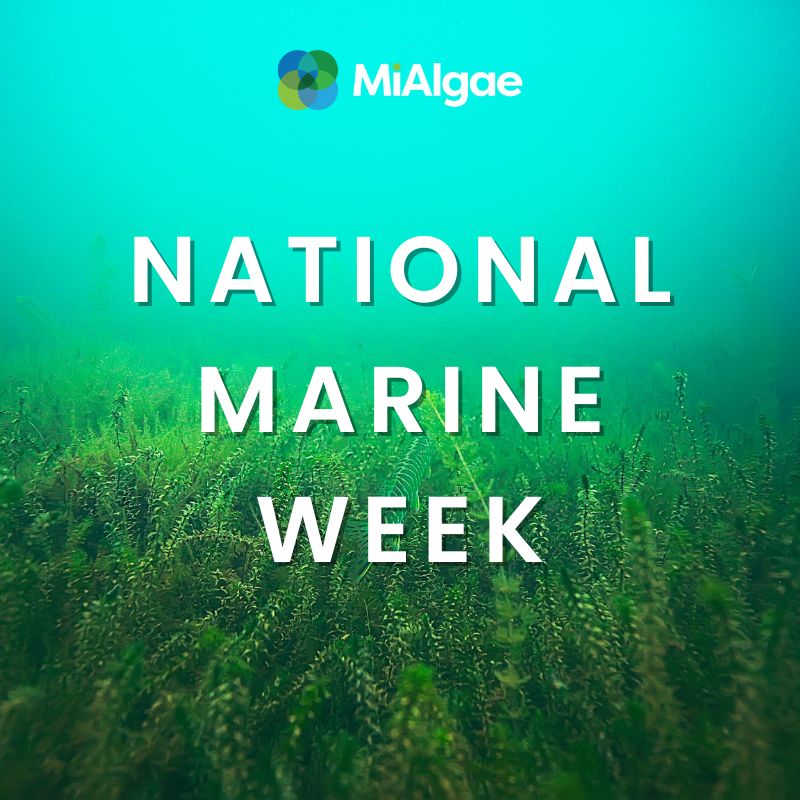 An estimated 80% of the world’s fisheries are already depleted. The time for action is now.

This #NationalMarineWeek 🐟 we’re taking a moment to celebrate and shout out businesses like ours, working to accelerate green innovation to protect the ocean and its marine life.