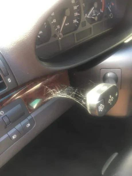 Gendarmerie_017's tweet photo. Vous êtes pour la préservation des arachnides, c'est bien ! 🕷️🕸️

Utiliser votre clignotant c'est mieux ! 😉

#RoutePlusSure https://t.co/qixn8hCWiT