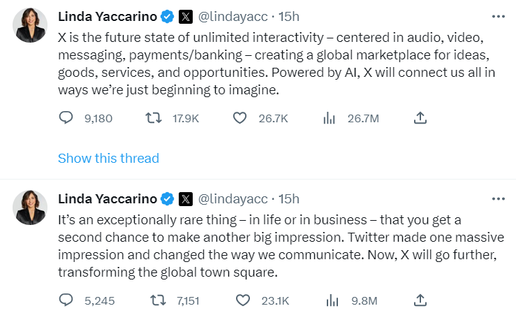 The general features of X, the Everything APP, the future of Twitter. 

It's not a new idea for sure, since we've seen WeChat already, but being managed by <a href="/elonmusk/">Elon Musk</a> indeed makes us think of it as a start for much bigger plans.