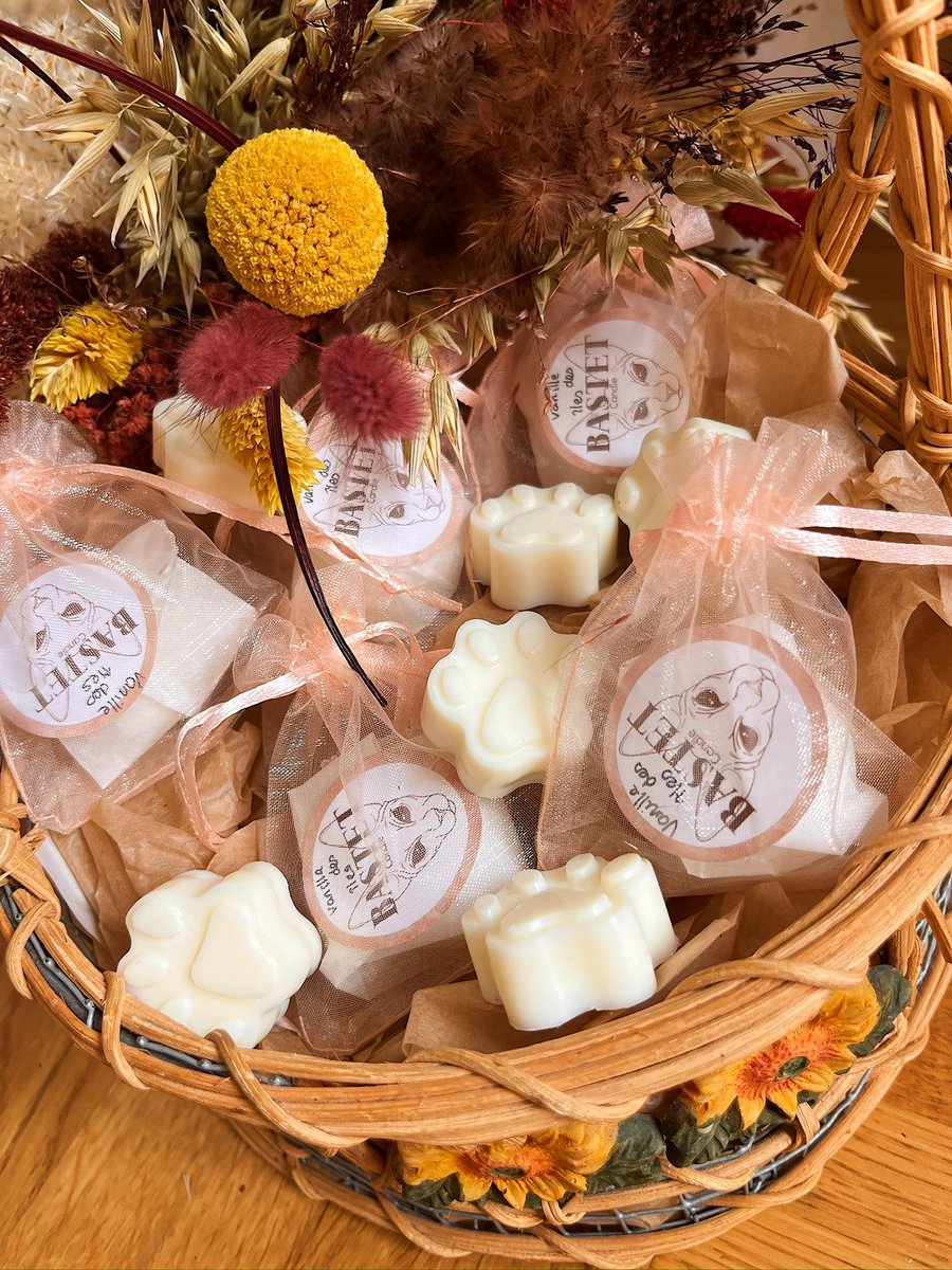 VegolasZer's tweet image. Je propose des bougies végétales, avec possibilité de personnalisation, à l’effigie de mon petit sphynx Simon 🥰❤️
Je n’ai pas encore de site internet donc pour le moment ça se passe en DM 🌾

Insta : instagram.com/bastet_candle?…

Tiktok : tiktok.com/@bastet_candle…