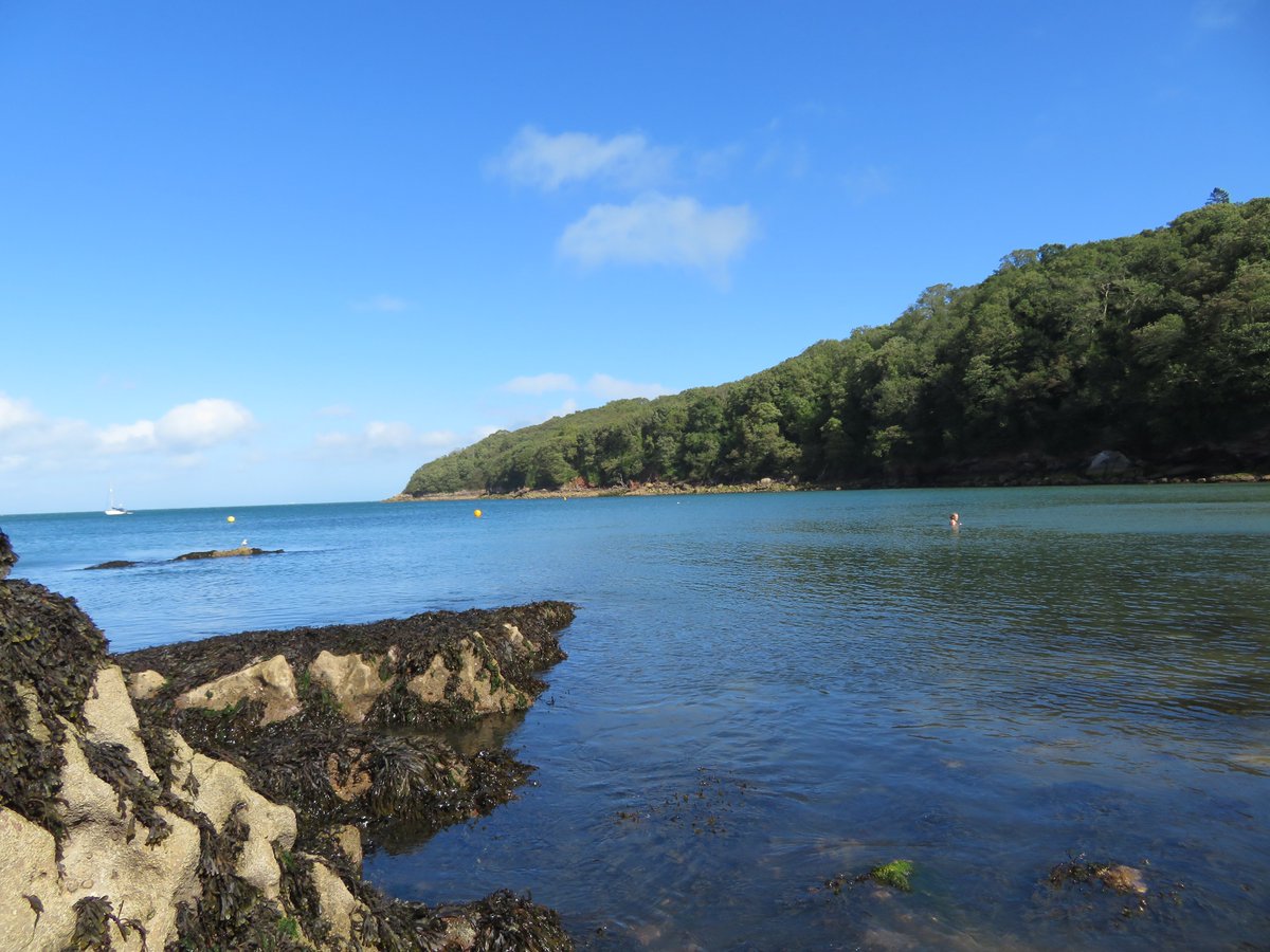 CornDollyXx56's tweet photo. Happy Book Anniversary, Poppy Loves Devon! 📚
Here's the fifth in ten reasons why Poppy LOVES Devon... 
No. 5 Visiting beautiful Elberry Cove (but not getting my paws wet!)
#poppylovesdevon #SummerReading2023 #childrensbooks 
https://t.co/rC0t9hlXqw https://t.co/8qJEmhP2mb