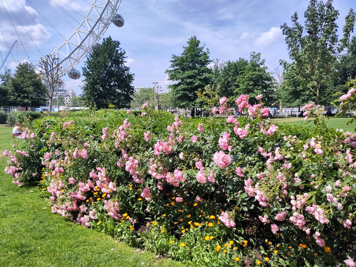 Our grounds maintenance contractor, <a href="/GavinJonesLtd/">Gavin Jones Ltd</a>/<a href="/nurturegroup_uk/">The Nurture Landscapes Group</a> is #recruiting for 2 roles at Jubilee Gardens:

Cleaning &amp; Grounds Maintenance Supervisor - ft perm, £28-30k pa. lnkd.in/e-nb7VRa

Head Gardener - ft perm, £29-31k pa. lnkd.in/ej8bgUD2

Pls share!