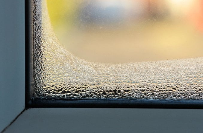 Stopping mould from spreading can quickly become a nightmare. Find out how to stop it in our blog below!

Preventing Mould Growth On Aluminium And uPVC Windows- bit.ly/46SoMZB