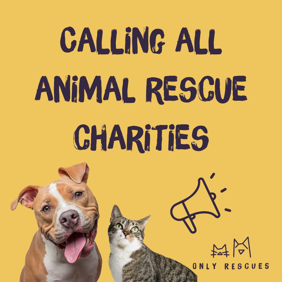 OnlyRescues's tweet photo. Calling animal rescue chatities and responsible rehoming centres: Only Rescues is launching very soon and we're welcoming new rehoming partners. If you rehome cats and dogs and would like to join our free platform, please get in touch on hello@onlyrescues.com #adoptdontshop https://t.co/oMXraavbmc