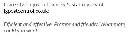 JG Pest Control (@jgpest) on Twitter photo Hard to disagree with Clare here 😉
Another ⭐️⭐️⭐️⭐️⭐️<a href="/Trustpilot/">Trustpilot</a> review to add to the pile! Hard to disagree with Clare here 😉
Another ⭐️⭐️⭐️⭐️⭐️<a href="/Trustpilot/">Trustpilot</a> review to add to the pile!