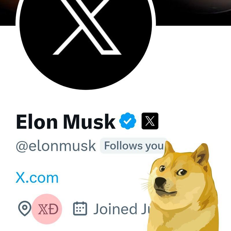 Dizzyhill1's tweet photo. 🚀 Elon Musk updated his location to 
𝕏Ð 👀  X = Payment System! 
Ð = DOGE!

@elonmusk #doge $doge https://t.co/x2ItA3I22R