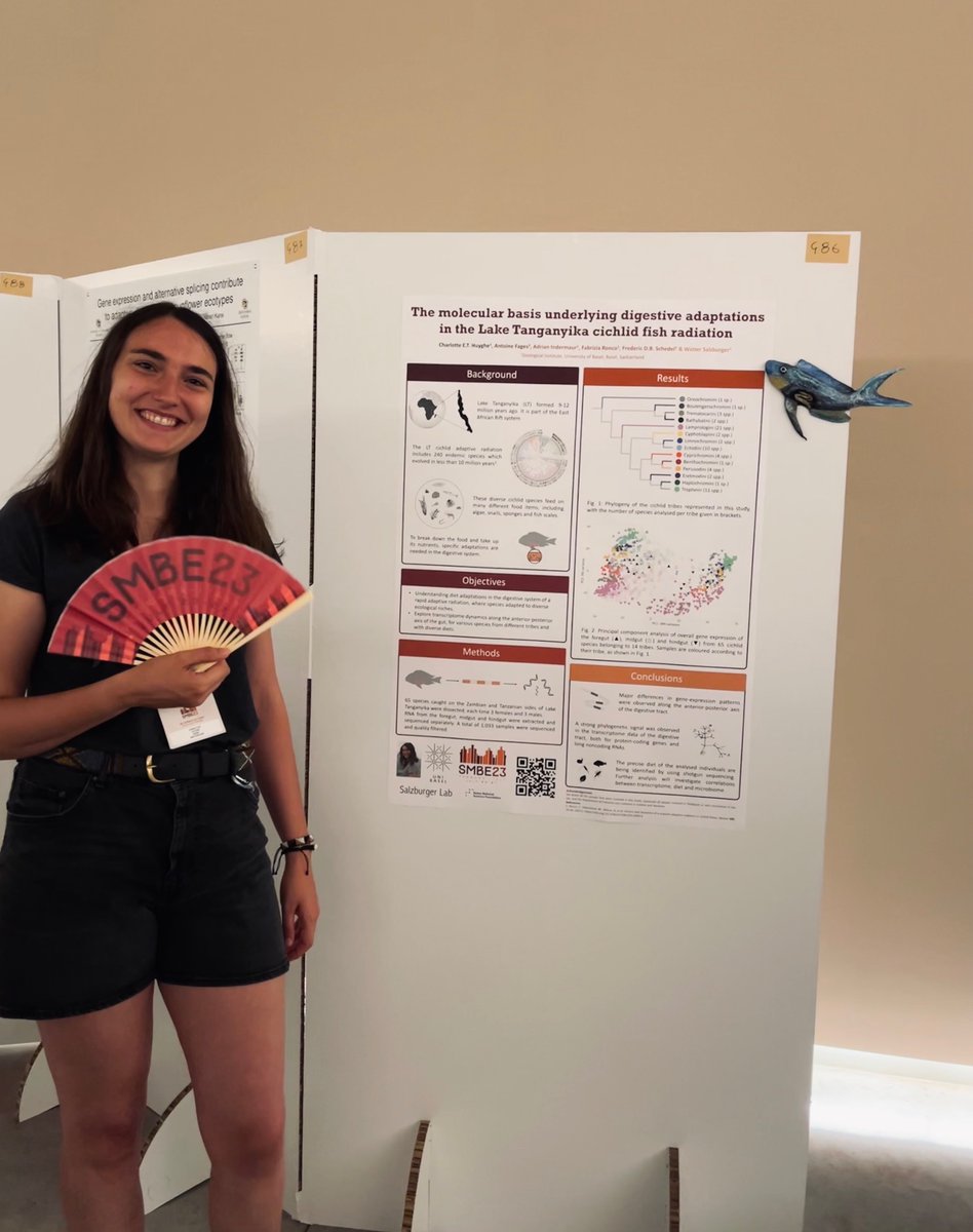 At the #SMBE23 conference in Ferrara? Come and have a look today at our poster on digestive #transcriptomics in #cichlid fishes! No. 486 in the San Paolo Cloister