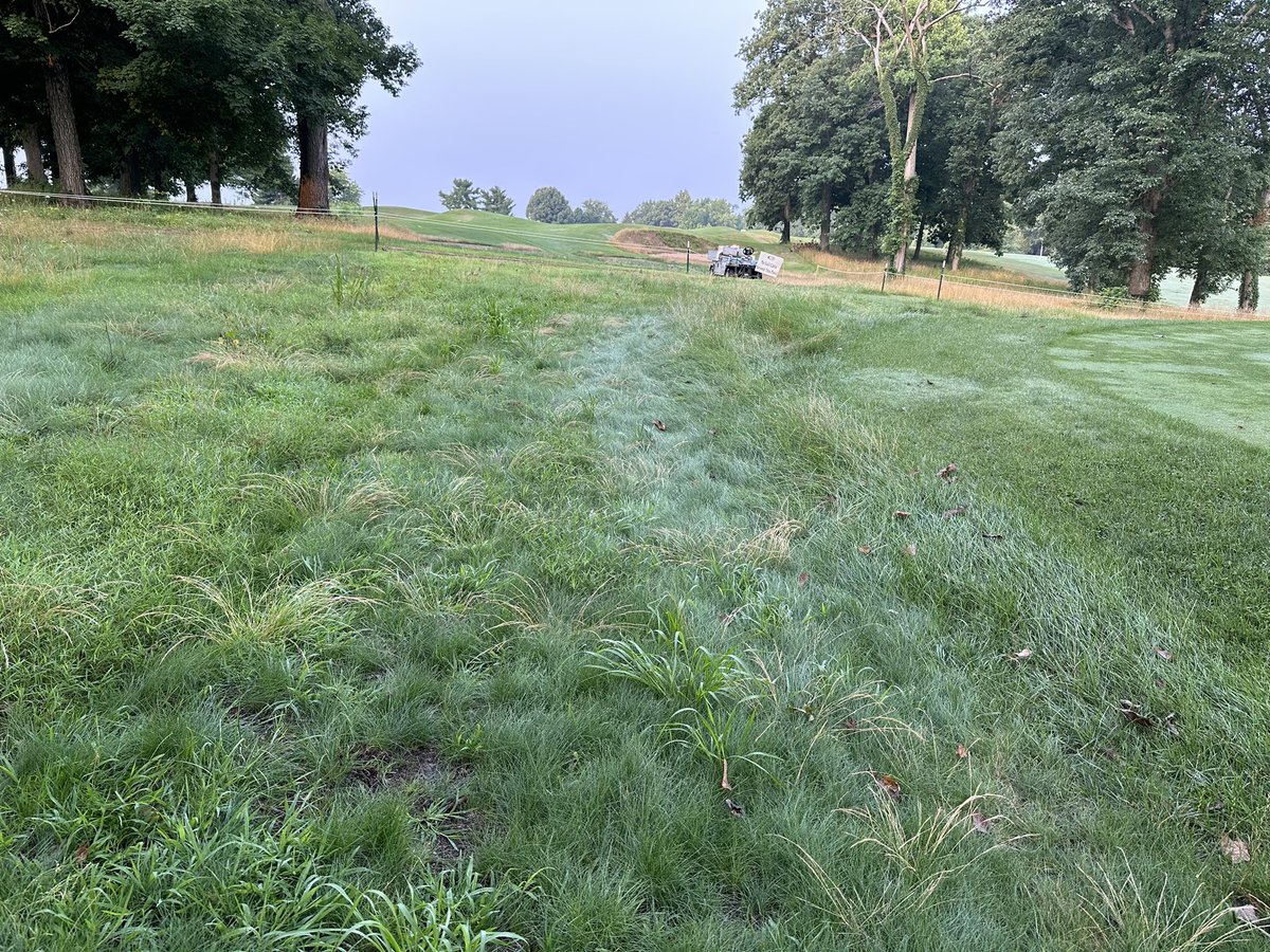 One of the reasons we advocate for walking at the Academies course is because carts (&amp; their occupants) always seem struggle to follow rules. Please stay on designated paths around our tees and greens. If you see anyone do this please inform them, to protect your course.