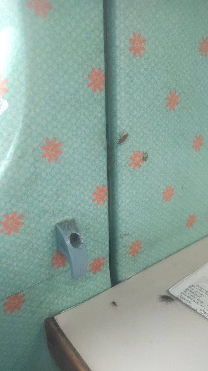 OodlesAgency's tweet photo. @IRCTCofficial really disappointed with the hygiene aboard your trains! Over 30+ cockroaches crawling on seats, newspapers, and food. #CleanlinessMatters #Shatabdi #BangaloretoChennai #12008 https://t.co/pIZ2vfnSNh