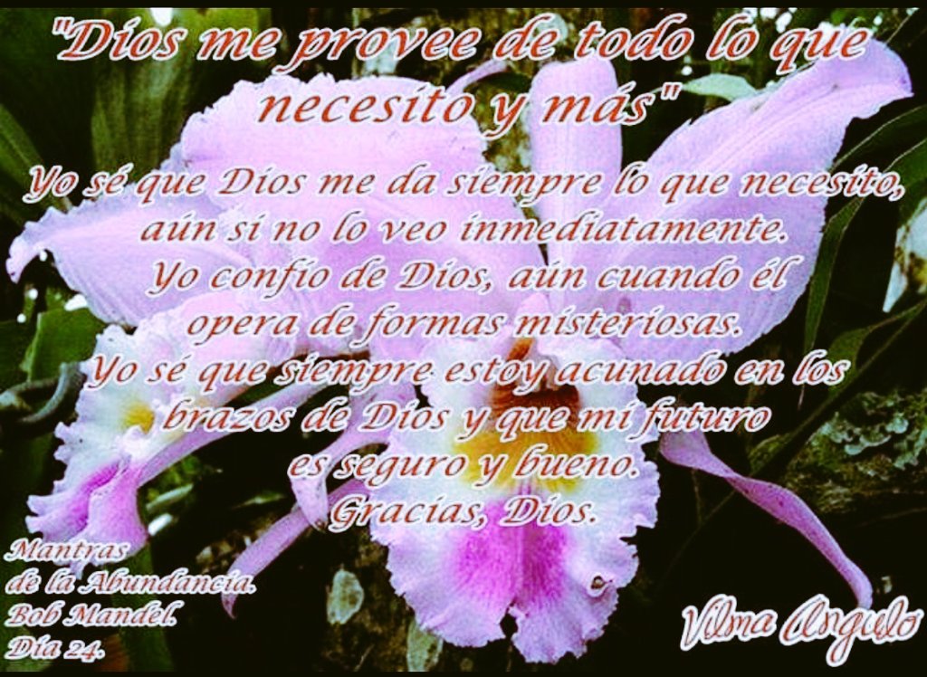 MANTRAS DE LA ABUNDANCIA DE BOB MANDEL

Día 24

Dios me provee de todo lo que necesito y  más 

#BatallaNaval200 

@beatriz77748
@ktirasiempre @lilidiaz8 @nanunsc2 @AlejandraMtzas @GranSabanaPura @fermary1574  @Briggittems1 @NatydelValle369 @zuldayomar @Desib73