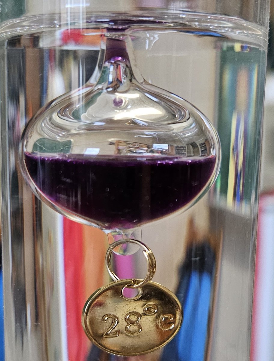 According to my Galileo thermometer,  my office is at a balmy 28°C. IT WARM! 🔥🥵🔥