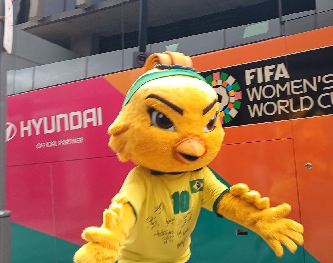 Tô incrédulo que a mascote da seleção brasileira feminina é uma Periquita Pistola com micropigmentação na sobrancelha.