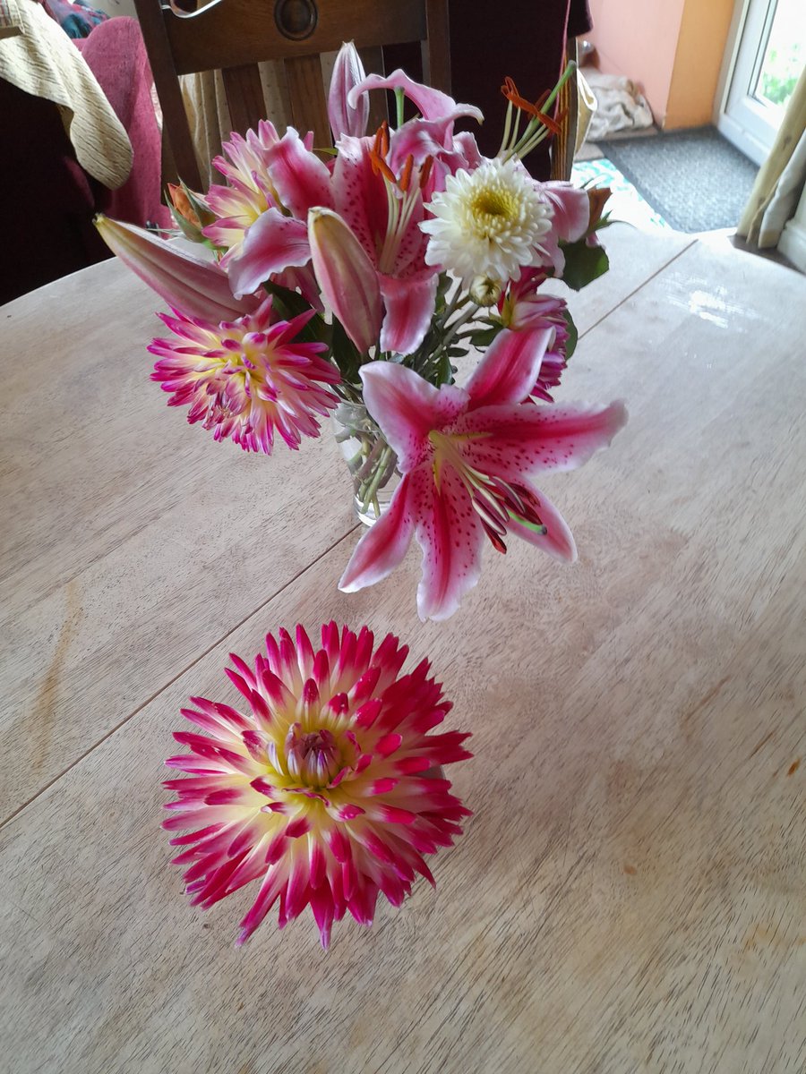 More lilies and dahlias for our guests, straight out of my garden. Nothing more satisfying than cut flowers from your garden!! #holidayaccommodation #petfriendly #yorkshire