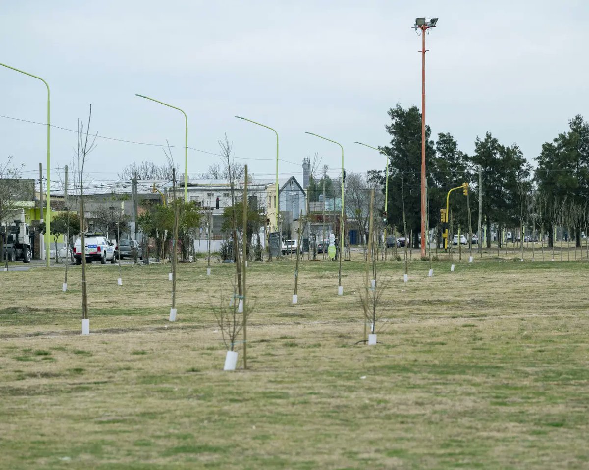Mantuve un encuentro con la ONG Forestar, dedicada al cuidado y preservación del medio ambiente, y que  mejor que fortalecer los vínculos con organizaciones que se dedican a cuidar nuestro entorno ecoambiental para poder proyectar e impulsar juntos una ciudad más sustentable.