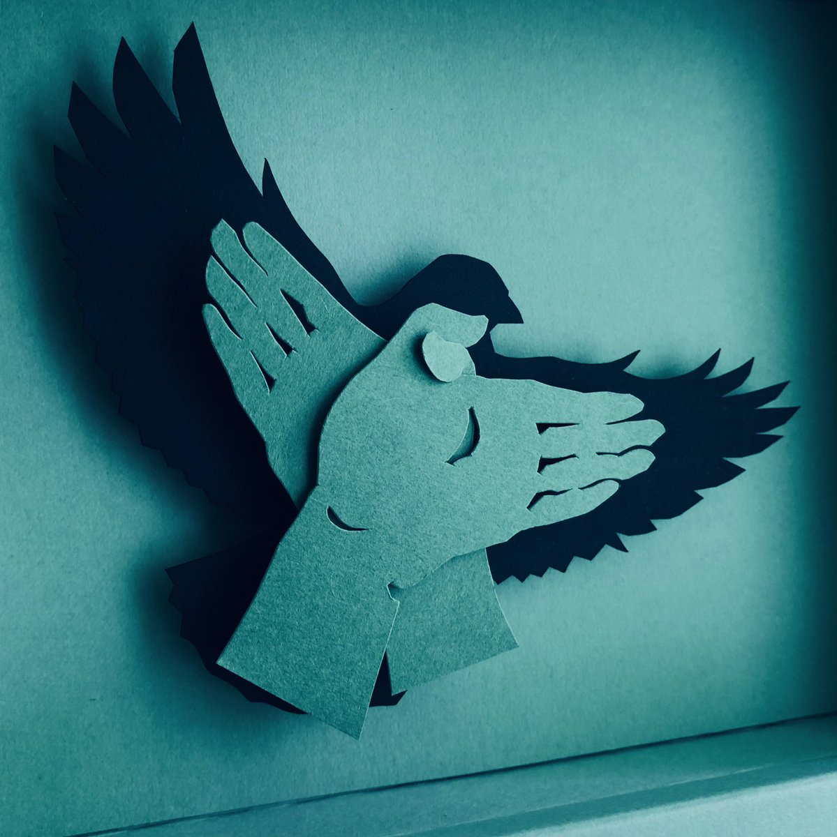 Shuhei Matsukawa (@matsukawashuhei) on Twitter photo 