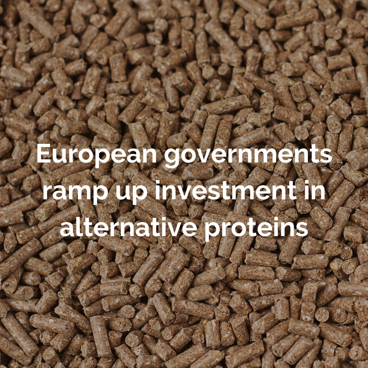 🔉Positive news🔉

EU governments have directed almost €500m towards developing more sustainable proteins.

It’s fantastic to see decision-makers recognising the potential of #alternativeproteins to transform our food system.

Read more in <a href="/BusinessGreen/">BusinessGreen</a>: businessgreen.com/news/4119935/e…