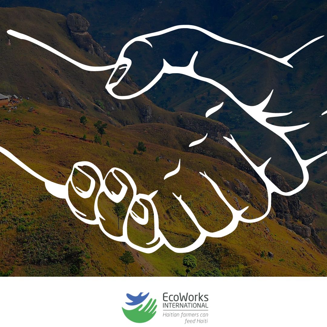 eco_works's tweet photo. Residents partner with the local police to fight back against the local gang’s expansion. We pay homage to our rural partner communities’ courage to defend themselves.

#Haiti #EcoWorksInternational https://t.co/DNyw3fYQvT