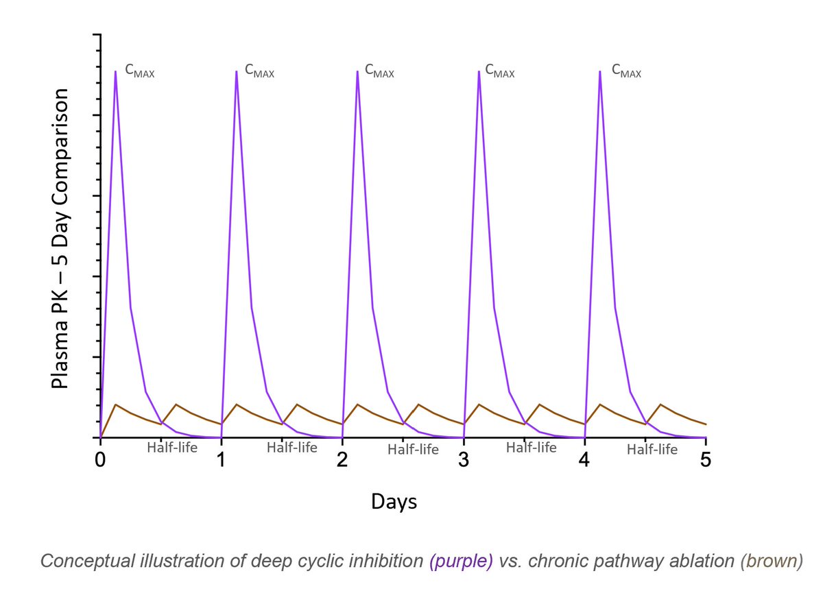 Immuneering's tweet photo. Our approach to deep cyclic inhibition is designed to spare healthy cells and potentially limit adaptive resistance, with the aim of preventing MEK-reactivation and improving tolerability and activity. Learn more about our approach: https://t.co/GTlNIciorQ https://t.co/zqXO9JF54e