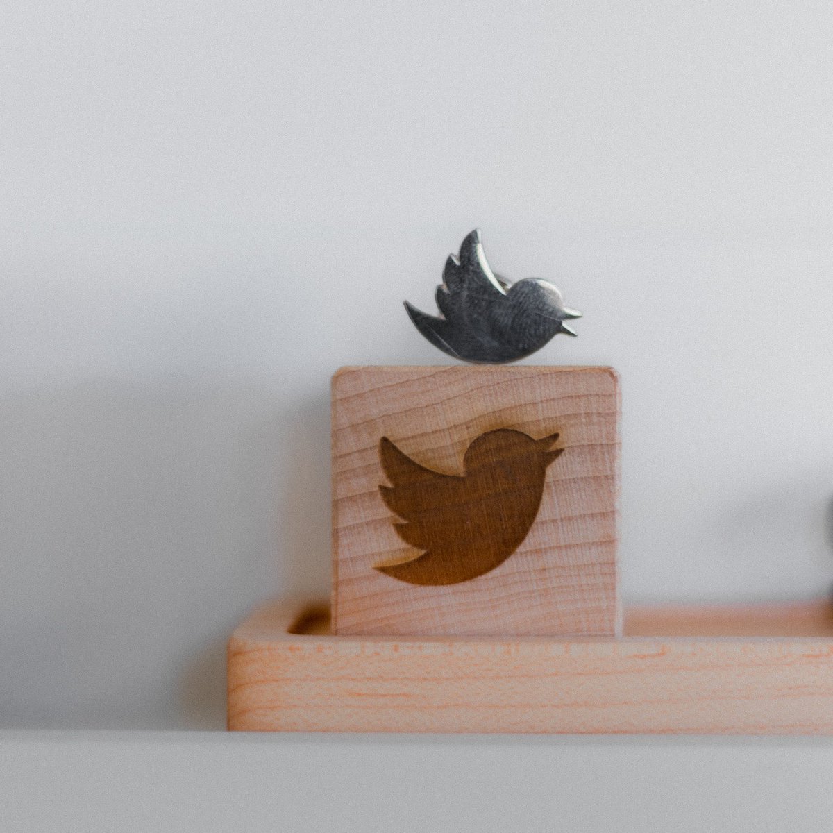 Der_BDI's tweet photo. Fly, little bird 👋🏼 #TwitterX https://t.co/OdZQMgshvQ