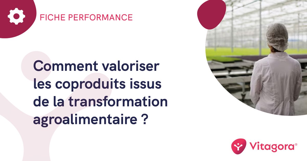 VitagoraGNS's tweet image. [FICHE PERFORMANCE] Valoriser ses #coproduits et déchets organiques issus de la transformation #agroalimentaire a des avantages écologiques et économiques. ♻ 
A télécharger 👉 https ://www.vitagora.com/centre-de-veille/ressources/fiche-performance-valorisation-coproduits-cro/