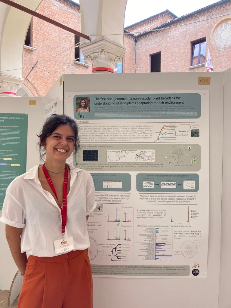 Dear #SMBE2023 Ferrara community, If you are interested in #plants #bryophytes #pangenome #genetics and #adaptation, please make a stop this evening 6-8PM at @ChloeBiolieu poster 353 (San paolo cloistet). She introduces the first #pangenome of a non-vascular plant #Marchantia.