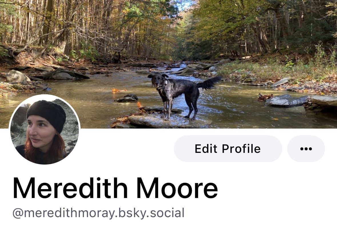 Meredith Moore tweet media