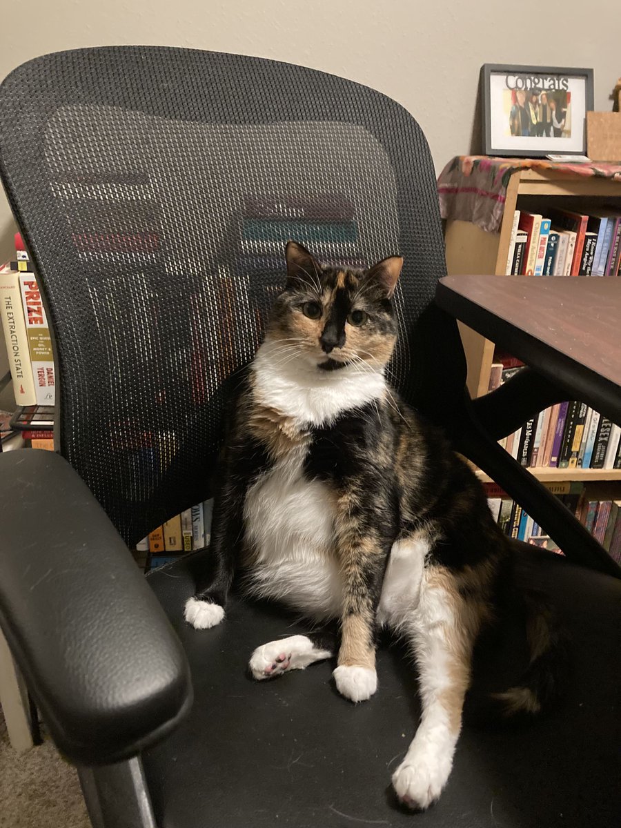 krbuckle's tweet photo. AND OREGON! We've had an overall good but let's face it complicated relationship — and you're still my favorite place on the planet. I can't wait to explore more of you. See you soon (and warning, I'm bringing a sassy calico and an inquisitive tabby with me 😼) end 🧵 7/7 https://t.co/TFKV9jLPur