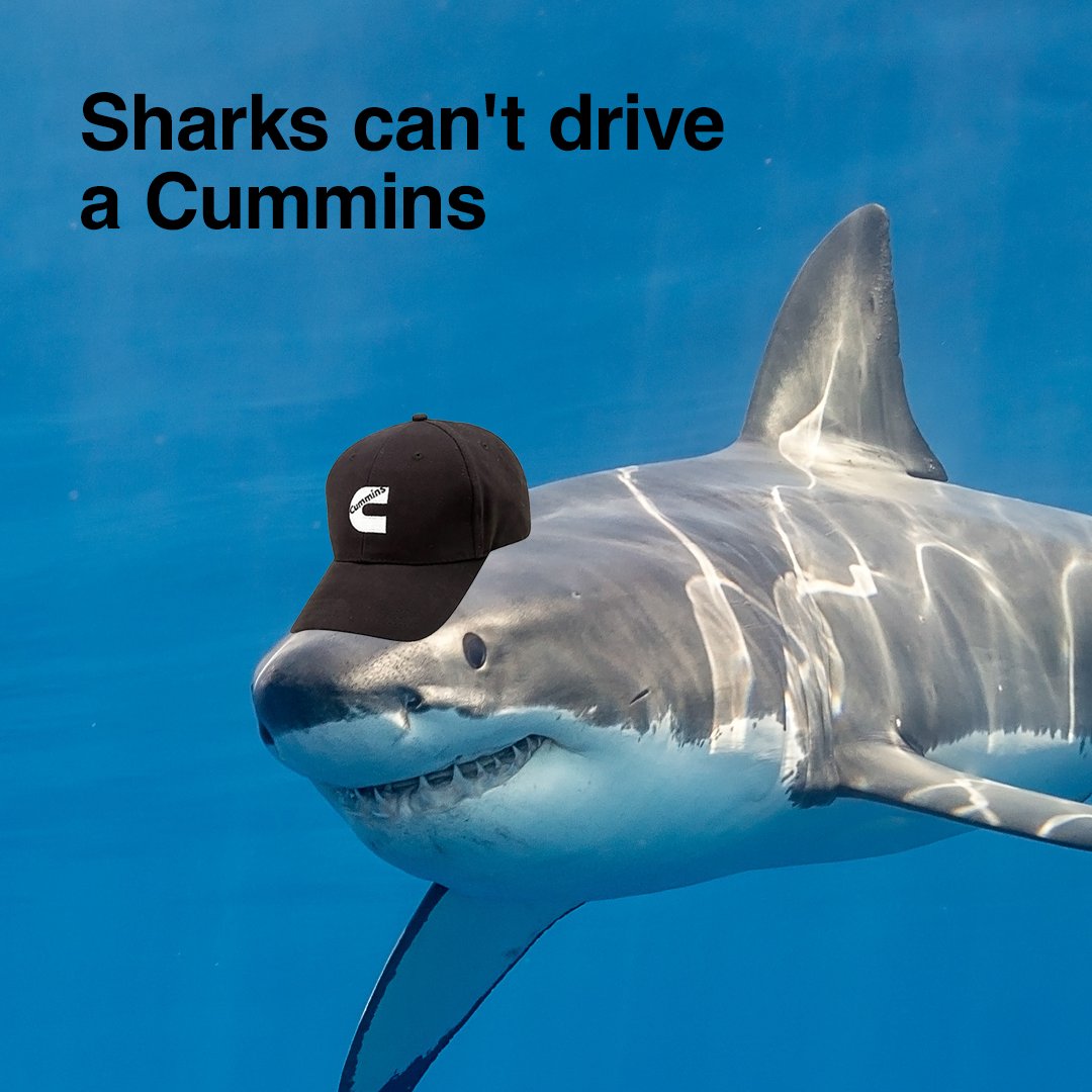 We don’t make the rules, we just write the facts.