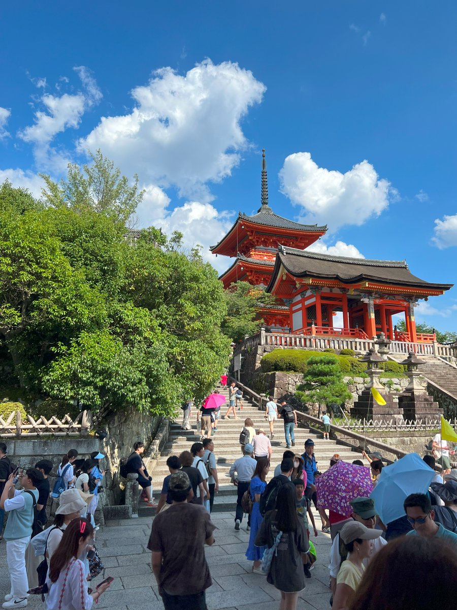 Post congress bus tour on 7/21! We enjoyed Kyoto!!🥳
#IOM #IOM2023 #Mycoplasma #Kyoto