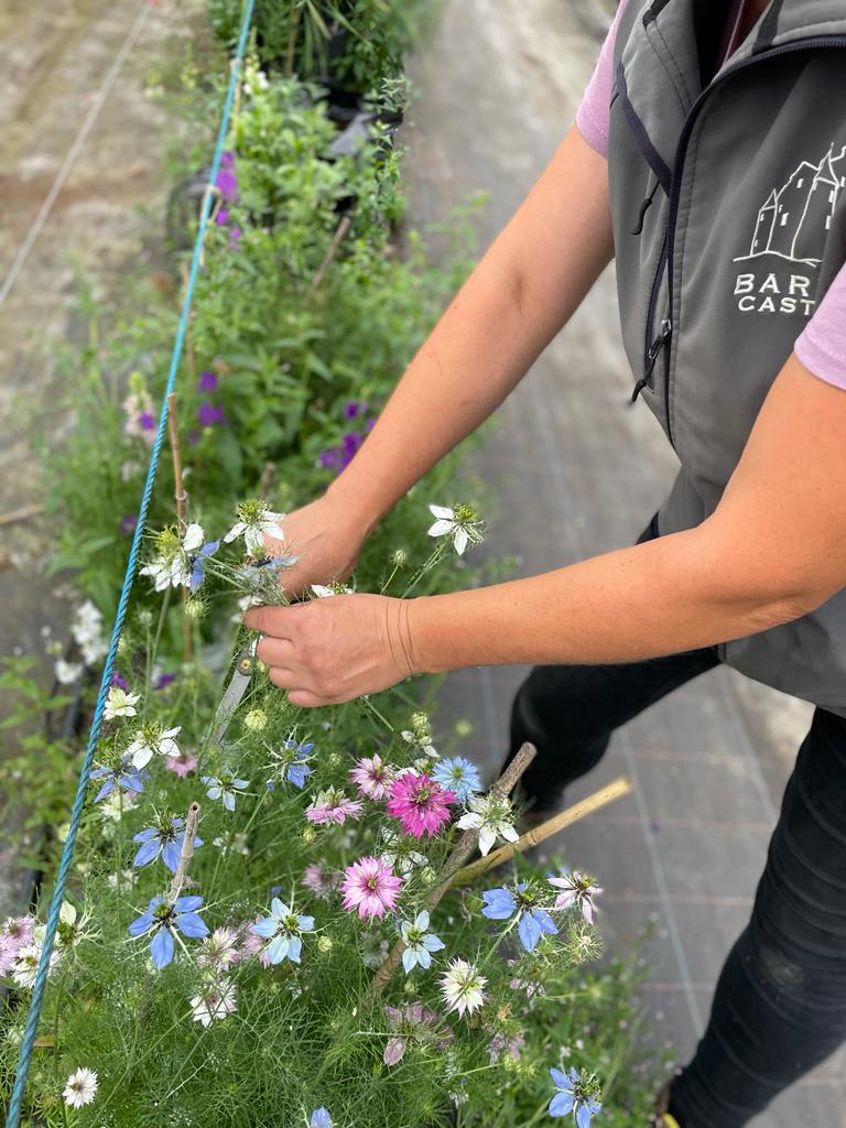 All dressed up &amp; nowhere to grow?... 💐🌼Poppy'n to the Farmshop for a Barralicious treat... Our homegrown floral arrangements are bound to make your daisy!