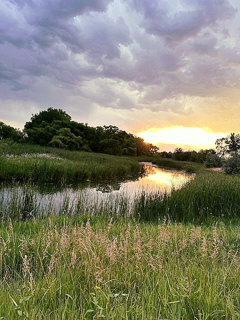 T Hendrix ❄ tweet media