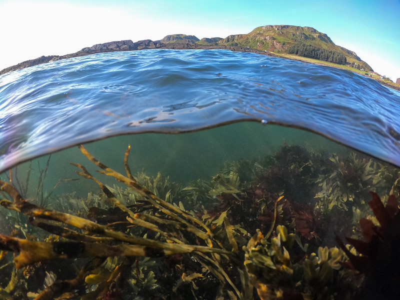 Happy #NationalMarineWeek! Join us all week in celebrating #Scotland's incredible and diverse #marine #environments. Share you best pics, facts, and experiences! #Marinebiology #MarineLife 📷: @ScotGovMarine