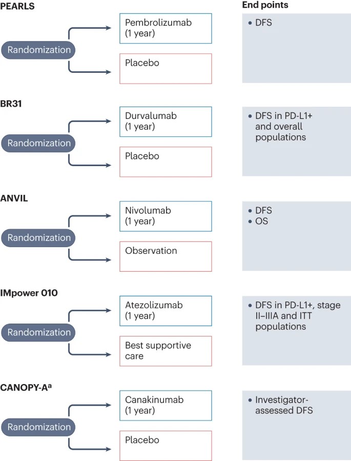 NatRevClinOncol's tweet photo. In a Review now online, @g_mountzios @JordiRemon @HendriksLizza Rosario García-Campelo @ChristianRolfo Paul Van Schil @FordePatrick @BenjaminBesseMD @VivekSubbiah @MartinReck2 @jsoriamd @peters_solange comprehensively review perioperative ICIs #lungcancer https://t.co/TOmYw2q51C https://t.co/QquTXpW9Hm