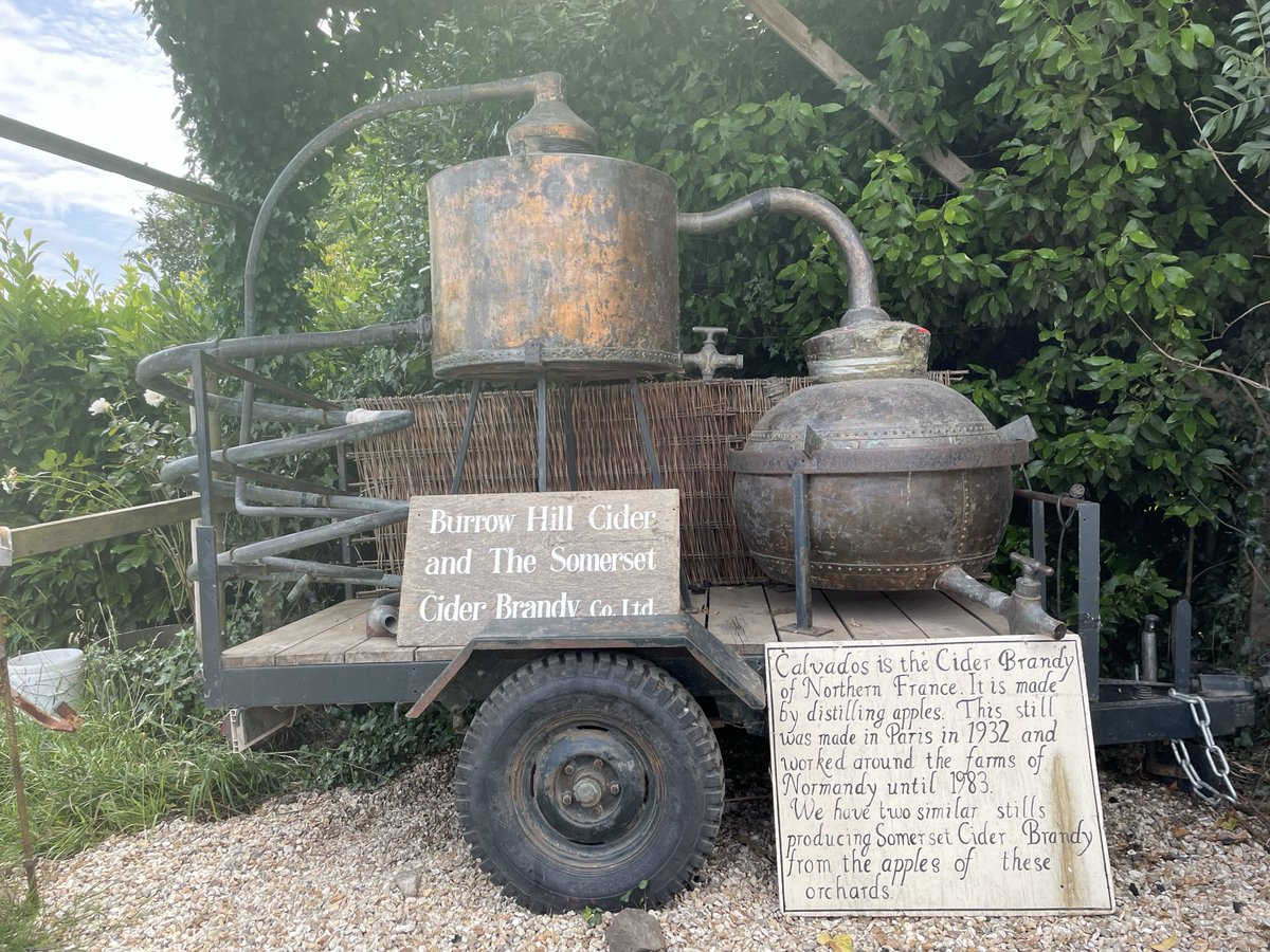 Last of our lavender harvest this year ! Essential oil production underway